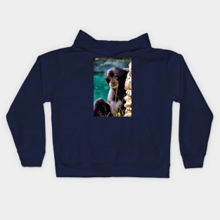 Sweet Howler Monkey Kids Hoodie